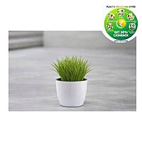 Sunny Plastic Plant Pot | Small / Medium / Large | Decorative Garden Planter