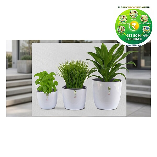 Sunny Plastic Plant Pot | Small / Medium / Large | Decorative Garden Planter