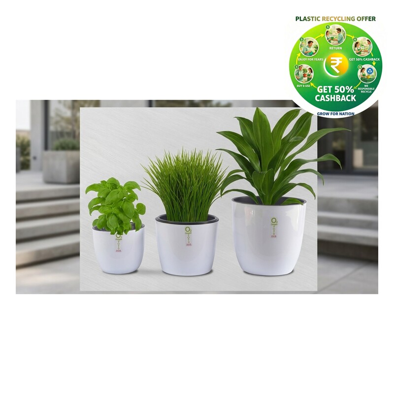 Sunny Plastic Plant Pot | Small / Medium / Large | Decorative Garden Planter
