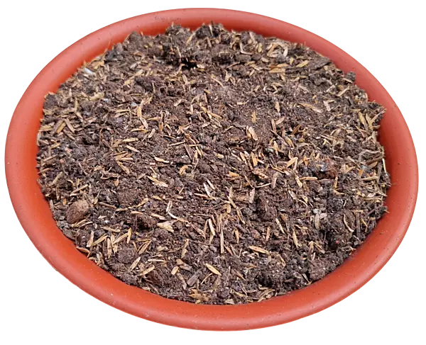 Super Mix for Home Garden for growing endless vegetables and flowers