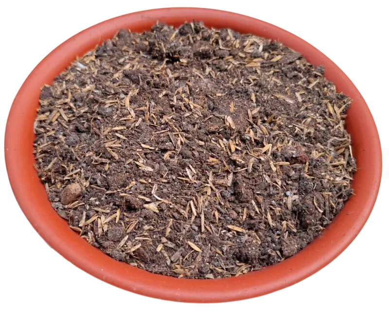 Super Mix for Home Garden for growing endless vegetables and flowers