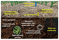 Crop Residue Collection & Aggregation Service