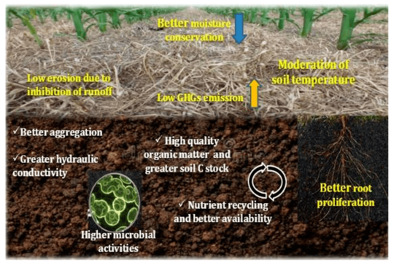 Crop Residue Collection & Aggregation Service