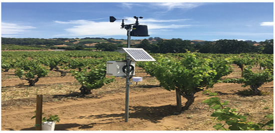 Energy Audit & Consumption Assessment for Agri Facilities