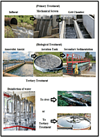 Effluent Treatment System (ETS) for Tissue Culture Labs