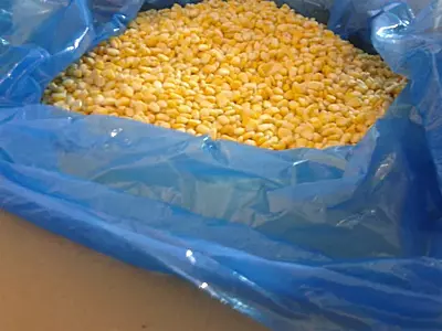 Frozen Sweet Corn Whole Kernels in 10Kg Box
