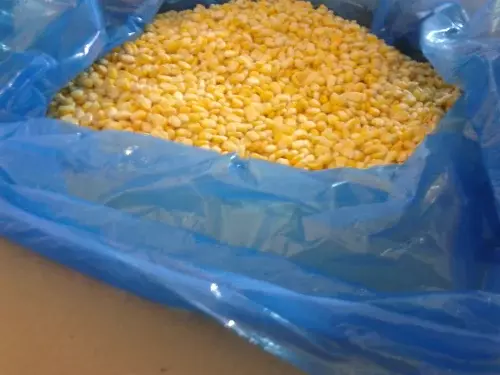 Frozen Sweet Corn Whole Kernels in 10Kg Box