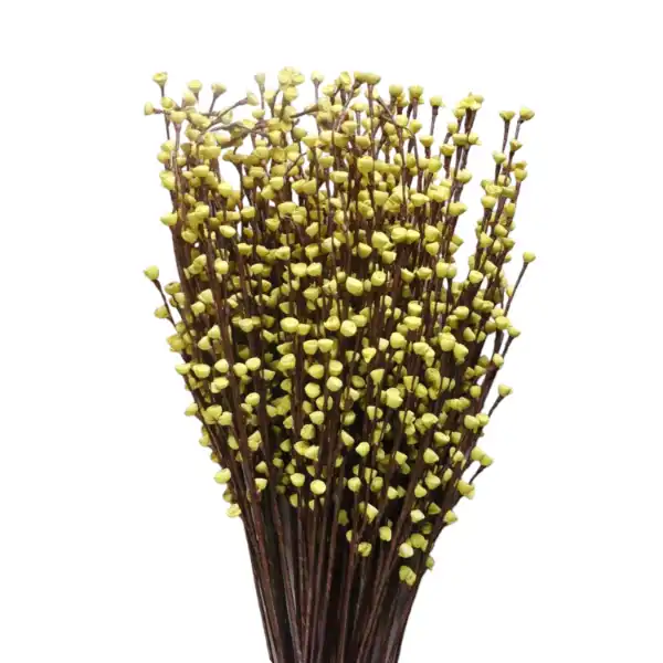 sweet rose sola flower stick for diy decor and gifting dry flower stick for long vase
