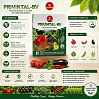 Privintal-BV | Krishi Rasayan | Vetrivel Agro Services