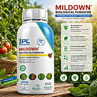 IPL MILDOWN Bio-Fungicide (Bacillus subtilis 2.0% A.S.) | Vetrivel Agro Services