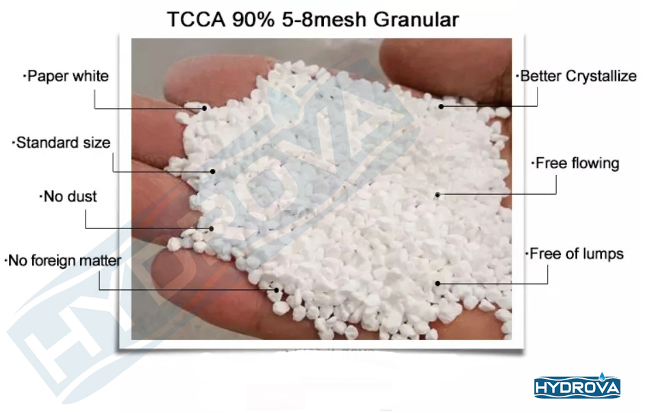 TCCA 90 Granules 5Kg Pack