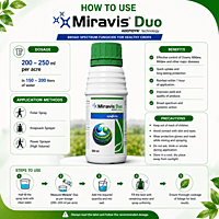 Syngenta MIRAVIS® DUO Fungicide | Vetrivel Agro Services