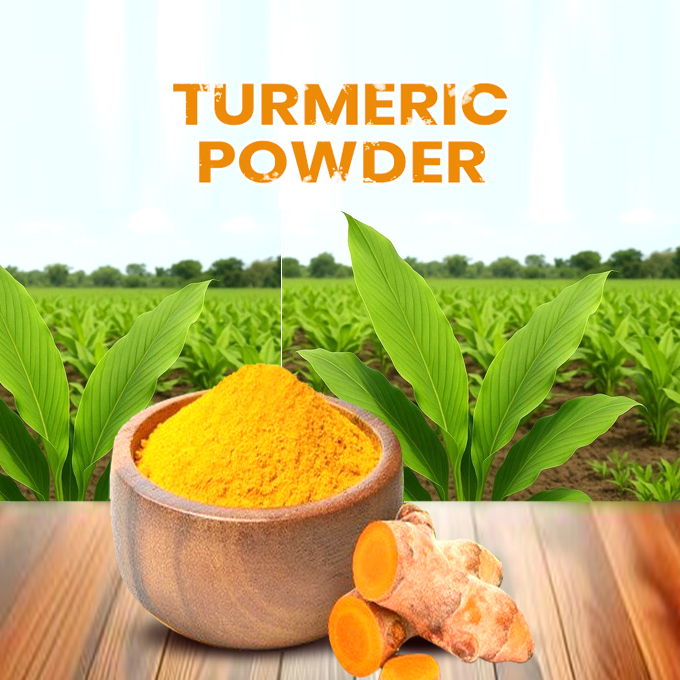 Turmeric Powder