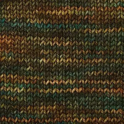 Symfonie Terra Yarn Himalayas VR2013 Multi
