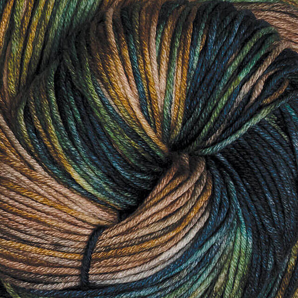 Symfonie Terra Yarn Jet Riverbank VR2001 Multi
