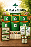 Terrace Garden Kit | Beginner-Friendly Complete Gardening Pack