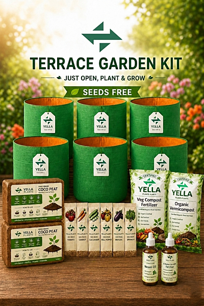 Terrace Garden Kit | Beginner-Friendly Complete Gardening Pack