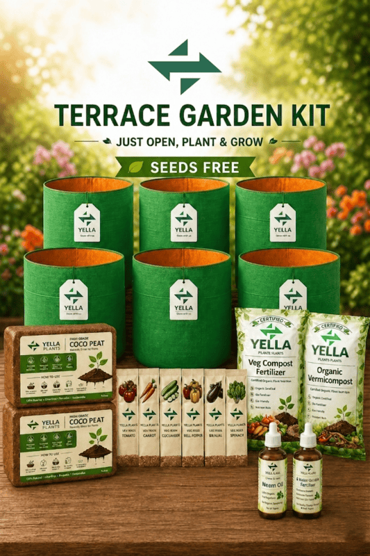 Terrace Garden Kit | Beginner-Friendly Complete Gardening Pack