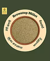 Browntop Millet | Unpolished and Roasted
