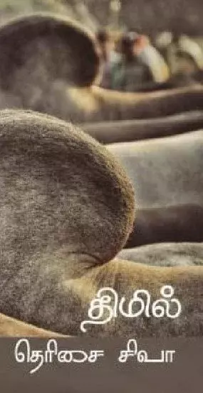 Thimil | திமில்
