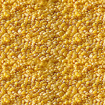 THINAI ARISI / FOXTAIL MILLET