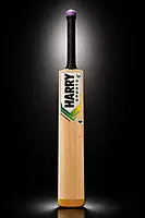 ThunderX bat
