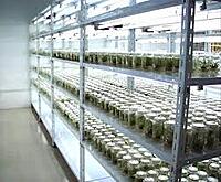 Tissue Culture Lab Setup & Retrofit