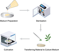 Tissue Culture Laboratory Deep Sterilization & Disinfection Service