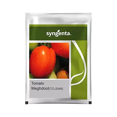 Tomato Hybrid Meghdoot (TO-2048)
