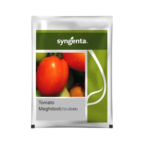 Tomato Hybrid Meghdoot (TO-2048)