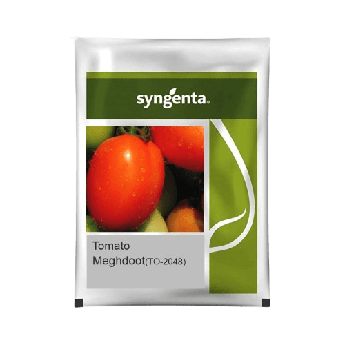 Tomato Hybrid Meghdoot (TO-2048)