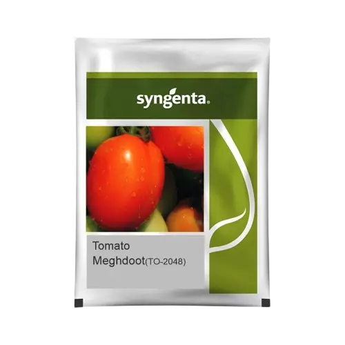 Tomato Hybrid Meghdoot (TO-2048)
