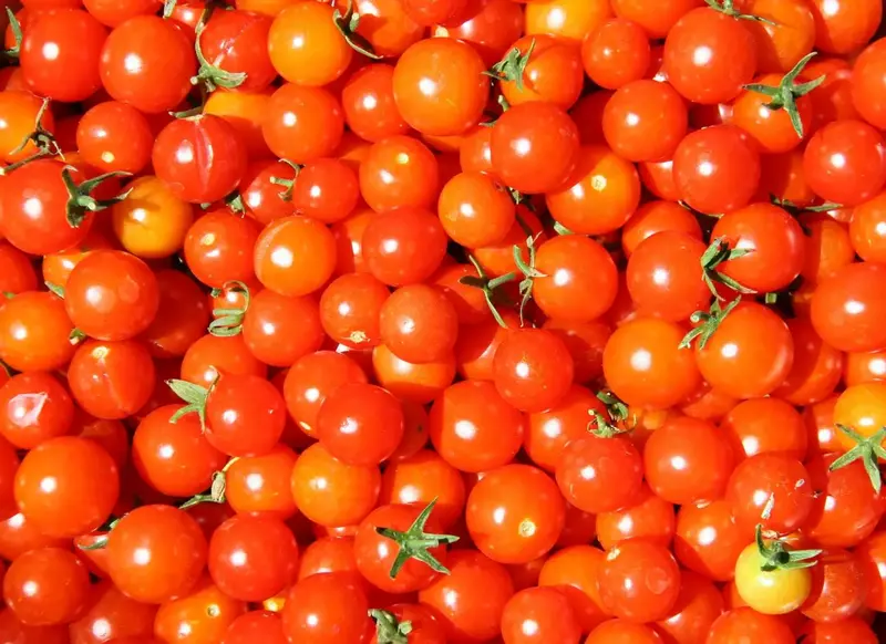 Cherry Tomato Red 250 Gms - IDRO