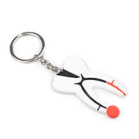 iDENTical Tooth Anatomy Keychain Multicolor – Dental Gift