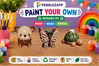 Reusable Teddy, Butterfly & Small Tortoise DIY Painting Kit – Set of 3
