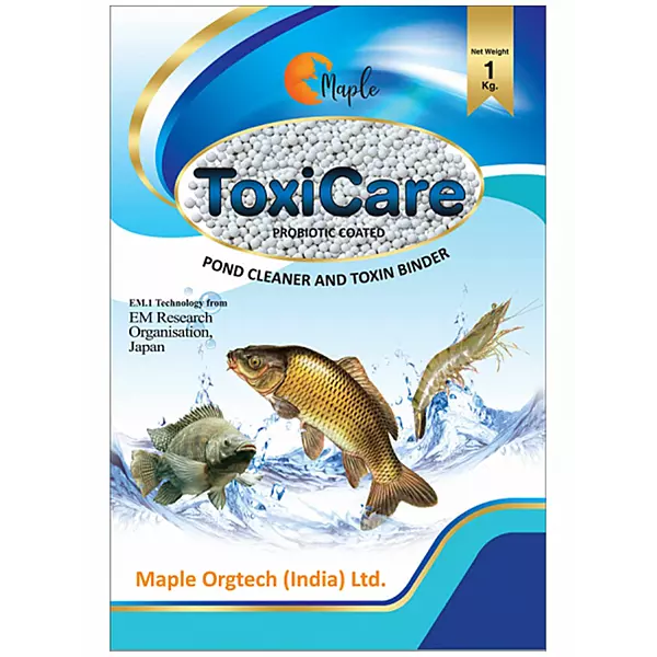 Maple Toxicare