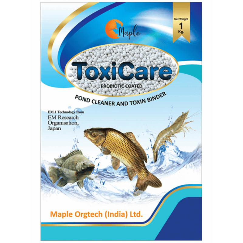 Maple Toxicare