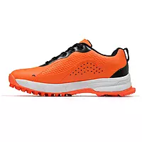 Cricket turf shoes / training shoes