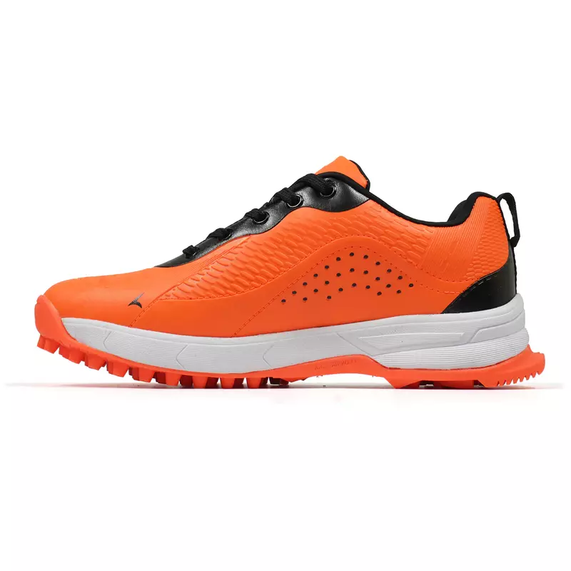 Cricket turf shoes / training shoes
