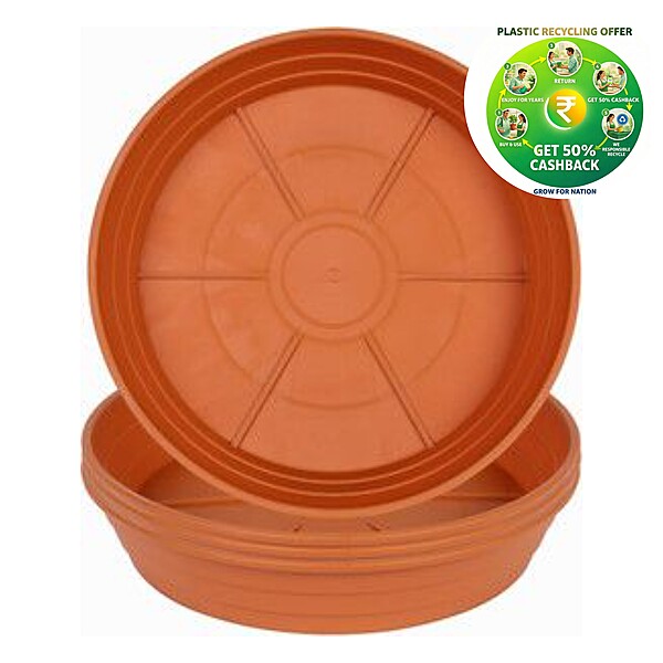Plant Pot Bottom Tray | Terracotta | 6 / 8 / 10 / 12 Inch