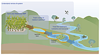 Agricultural Runoff & Drainage Water Treatment Solutions
