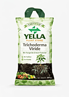 Terrace Garden Kit | Maadi Thottam Kit | Complete Home Gardening Starter Kit for Beginners