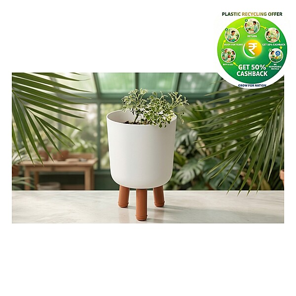 Tripot | 6 Inch Plastic Planter | Indoor & Balcony Planter