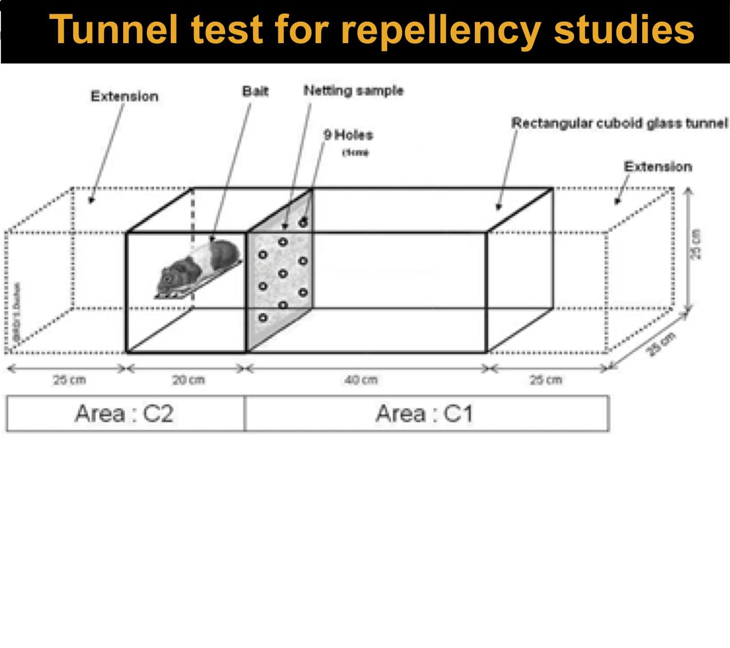 Tunnel Test Cages on WHO model for studying excito-repellency studies on mosquitoes