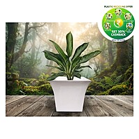 Uber Pot | White Decorative Plastic Planter | 10 & 12 Inch