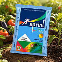 Indofil Sprint Fungicide | Vetrivel Agro Services