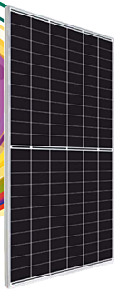 Eternal Pride Series Monofacial