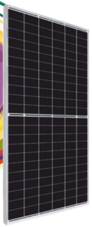 Eternal Pride Series Monofacial Eternal Pride Series Monofacial