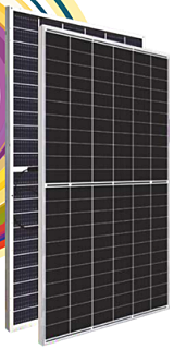 Elan Pride Series G2G