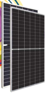 Elan Pride Series G2G